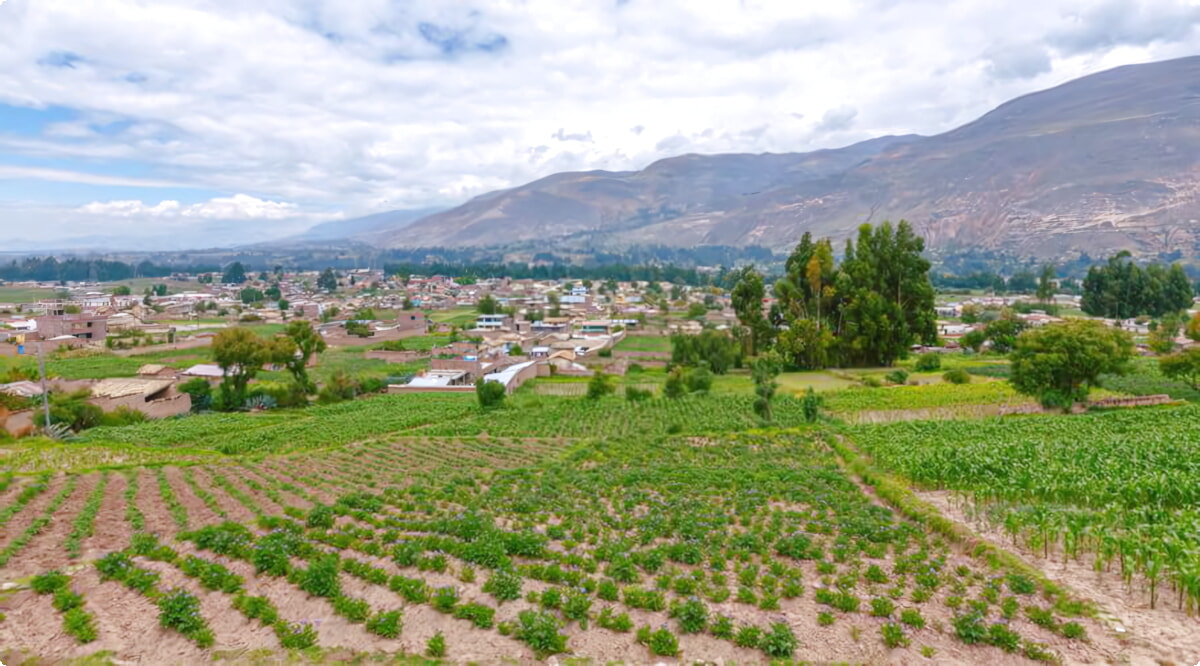 Nuestro inventario incluye una amplia variedad de vehículos.